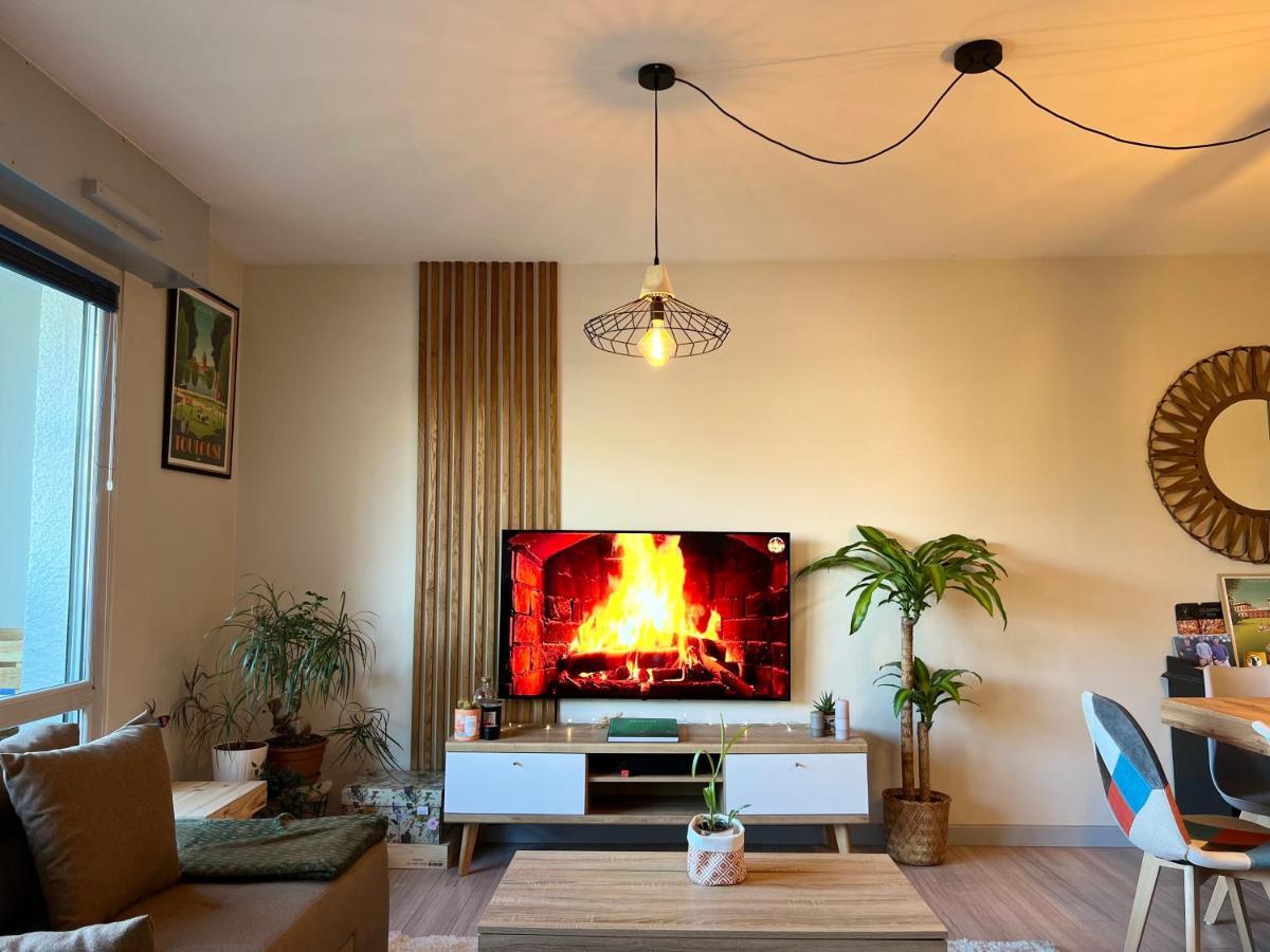 Le Zenith - T2 Chaleureux Et Lumineux Apartment Тулуза Екстериор снимка